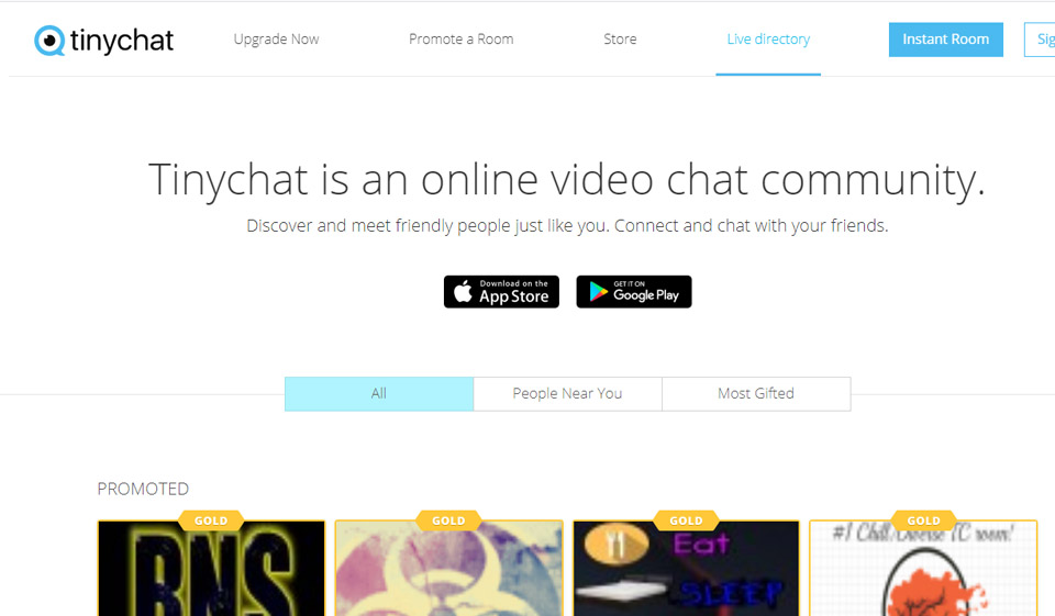 TinyChat Review January 2025: Legit or Fake?